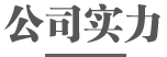 公司实力